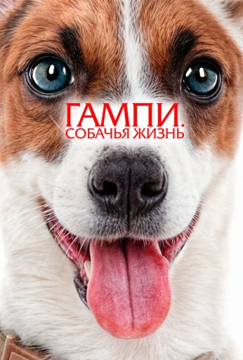 Гампи. Собачья жизнь (2024) онлайн бесплатно